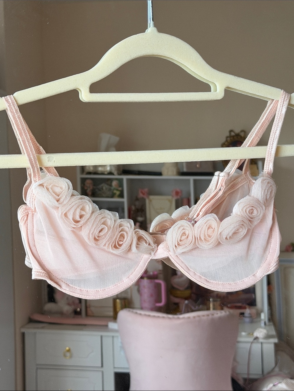Sugar Thrillz Delicate Rose-Trim Sheer Bra - Light Peachy Pink